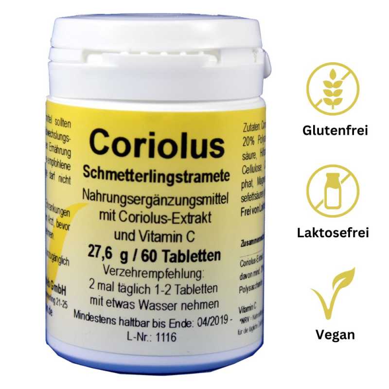 Coriolus – Immunstärkung mit Schmetterlingstramete